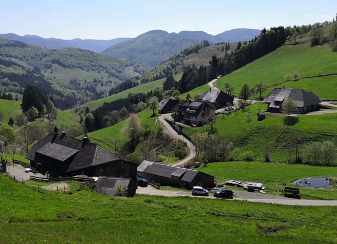 Wandern im Schwarzwald